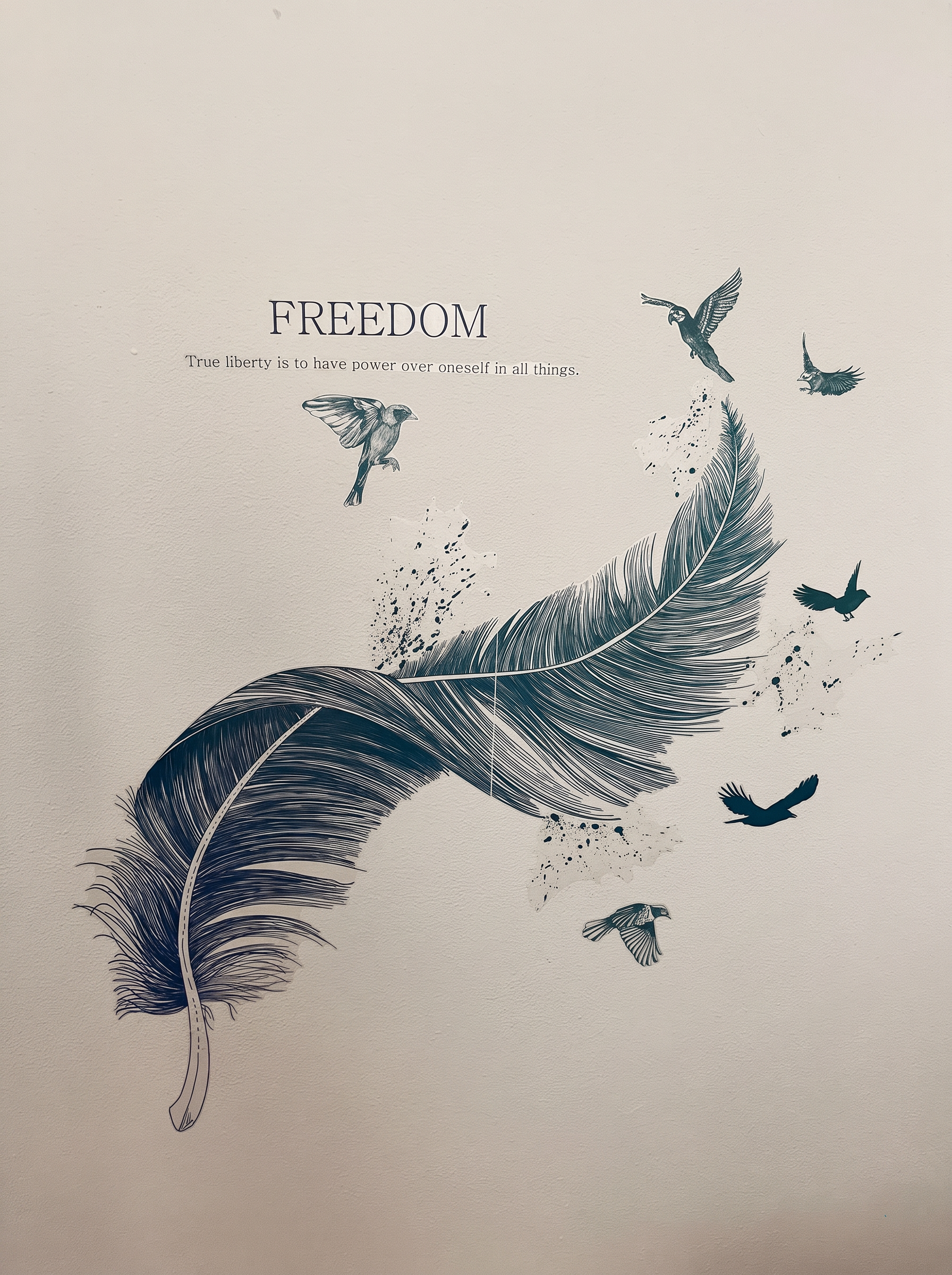 Opera Freedom con una grande piuma e uccelli in volo